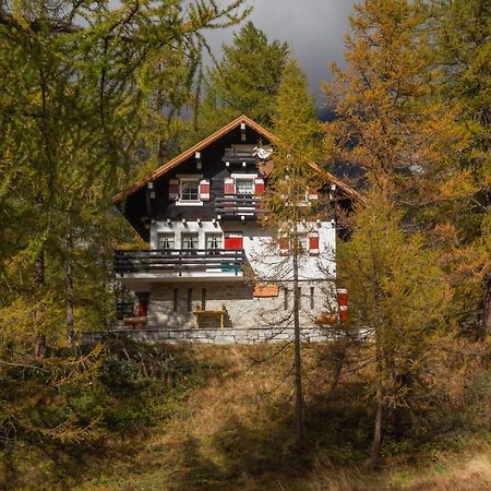 I Larici - Appartamento Per Sognare Alpe Devero Eksteriør billede