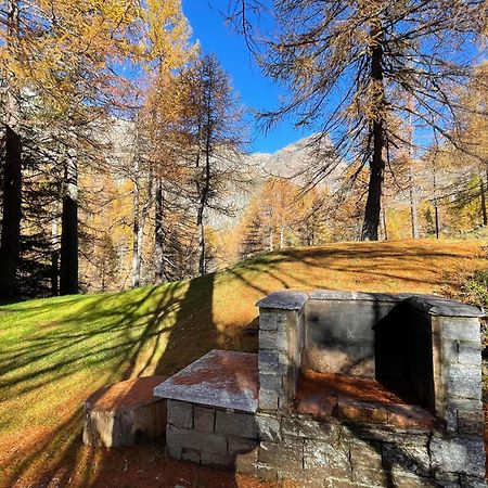 I Larici - Appartamento Per Sognare Alpe Devero Eksteriør billede