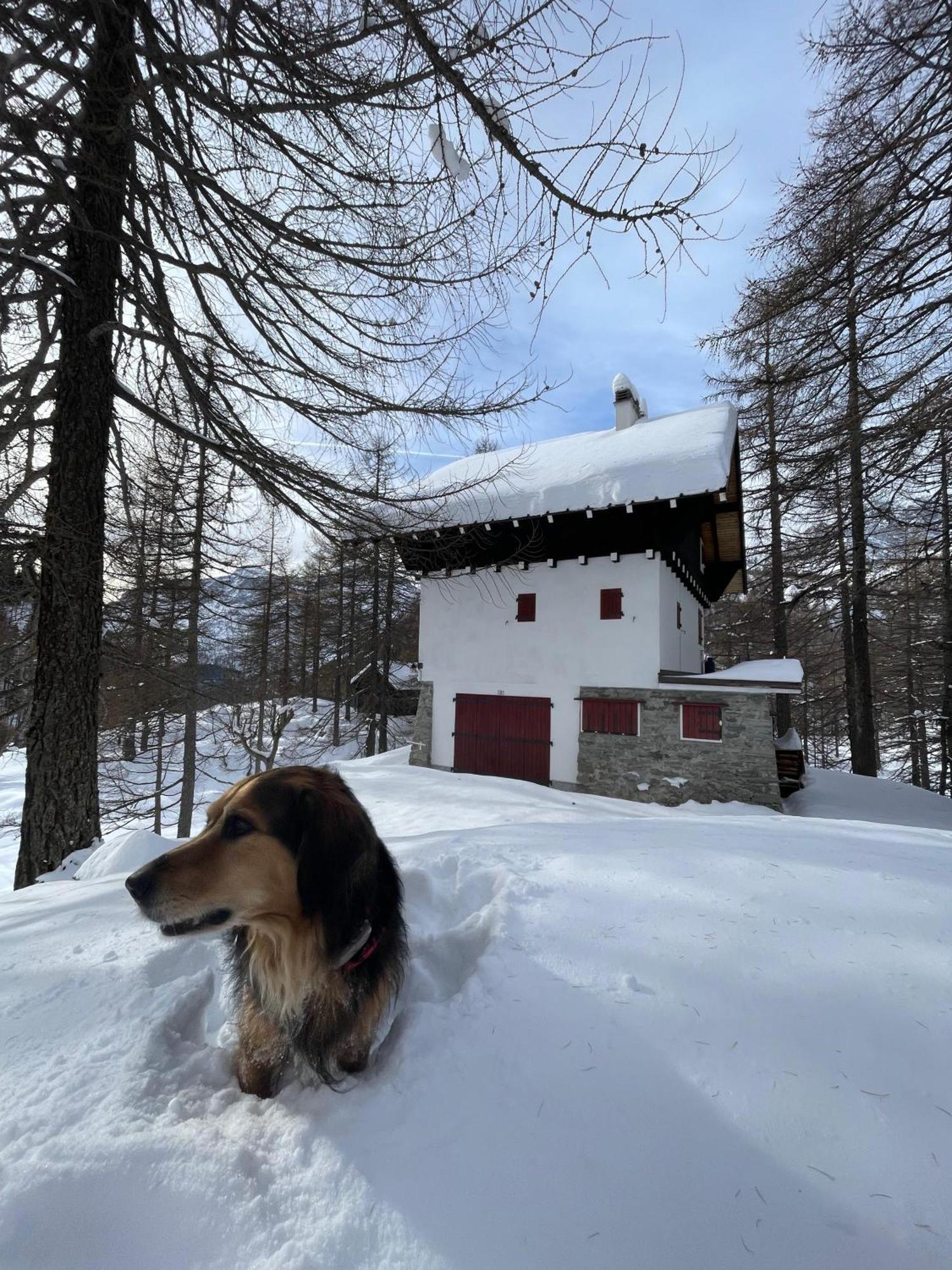 I Larici - Appartamento Per Sognare Alpe Devero Eksteriør billede